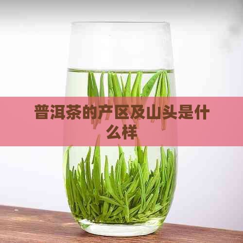 普洱茶的产区及山头是什么样