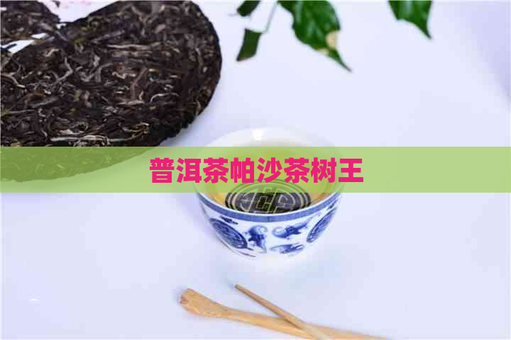 普洱茶帕沙茶树王