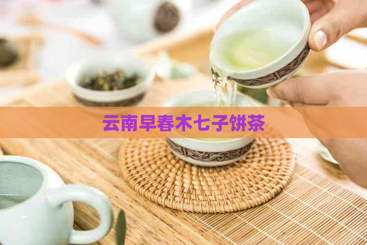 云南早春木七子饼茶