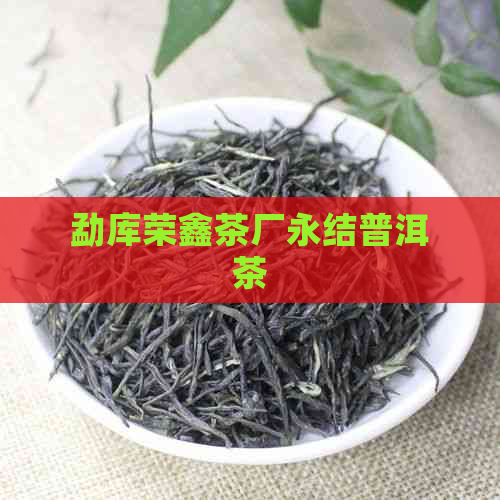 勐库荣鑫茶厂永结普洱茶