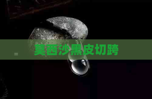 莫西沙黑皮切跨