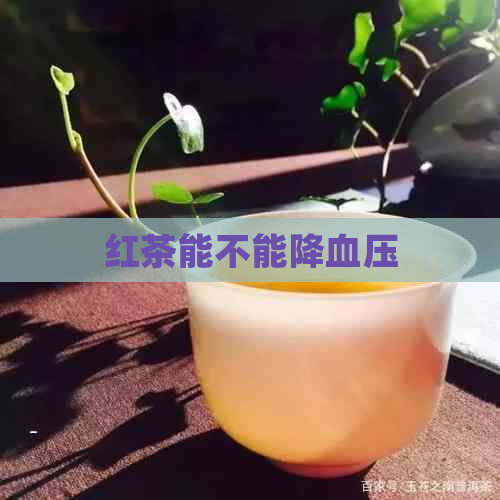 红茶能不能降血压