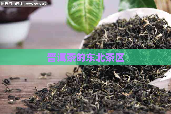 普洱茶的东北茶区