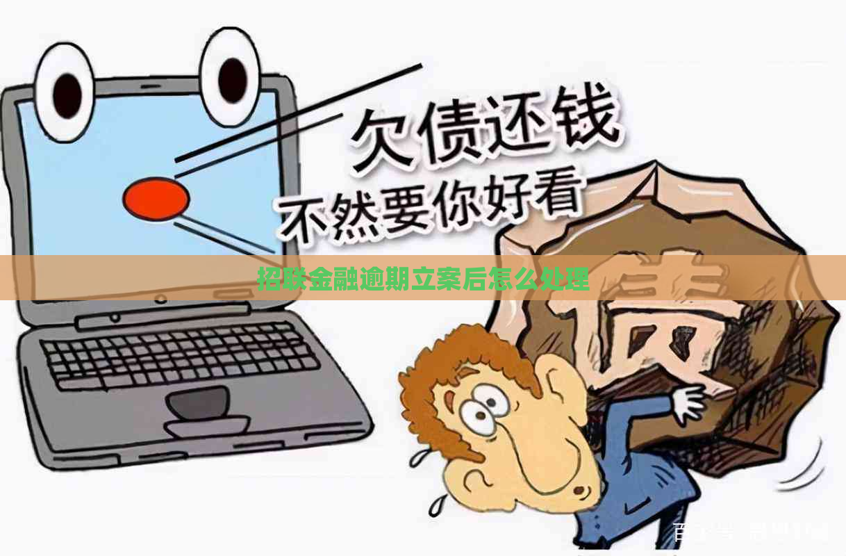 招联金融逾期立案后怎么处理