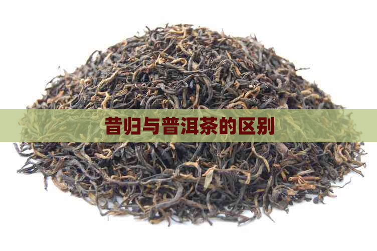 昔归与普洱茶的区别