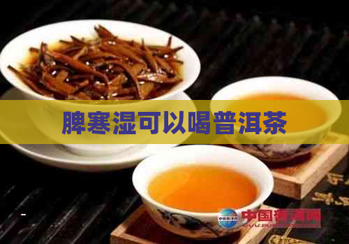 脾寒湿可以喝普洱茶