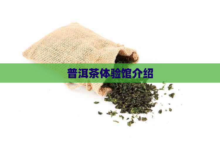 普洱茶体验馆介绍