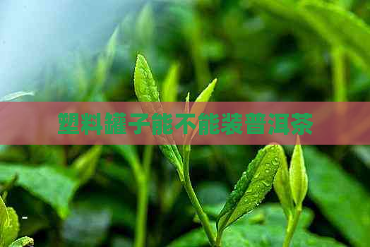 塑料罐子能不能装普洱茶