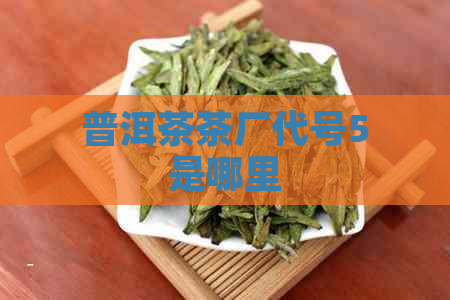 普洱茶茶厂代号5是哪里