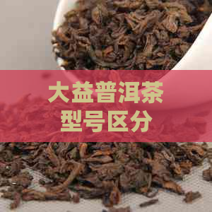 大益普洱茶型号区分