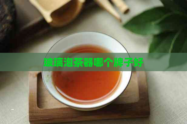 玻璃泡茶器哪个牌子好