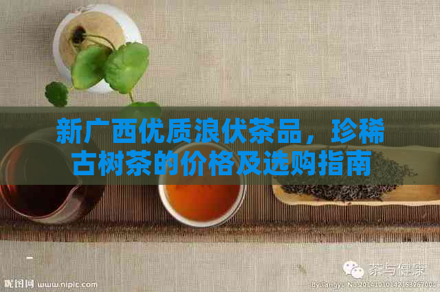 新广西优质浪伏茶品，珍稀古树茶的价格及选购指南