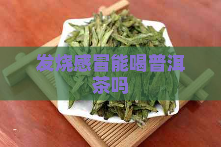 发烧感冒能喝普洱茶吗