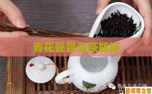 青花瓷普洱茶瓶罐