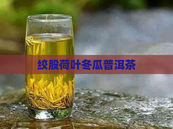 绞股荷叶冬瓜普洱茶