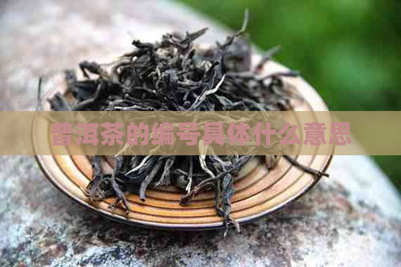 普洱茶的编号具体什么意思