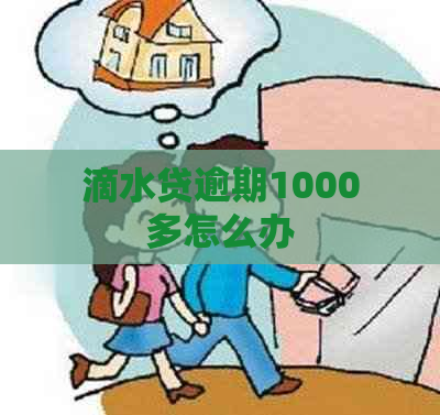 滴水贷逾期1000多怎么办