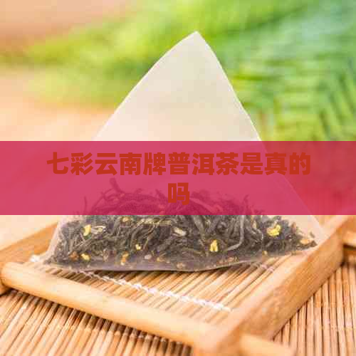 七彩云南牌普洱茶是真的吗