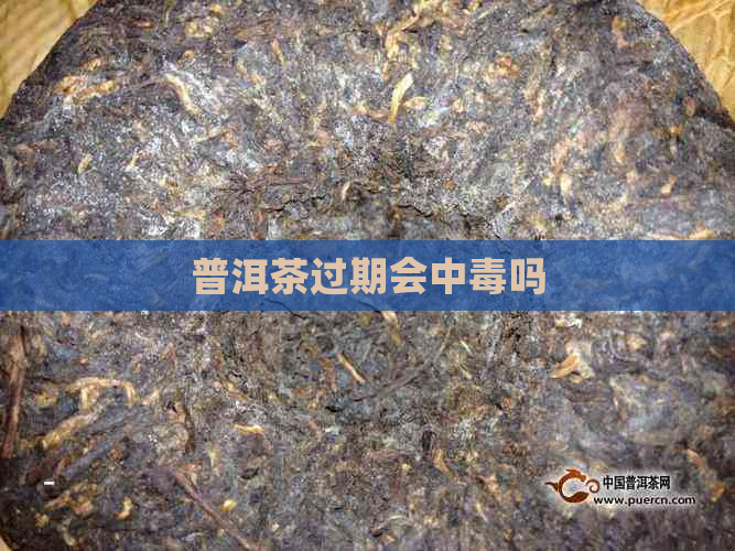 普洱茶过期会中吗