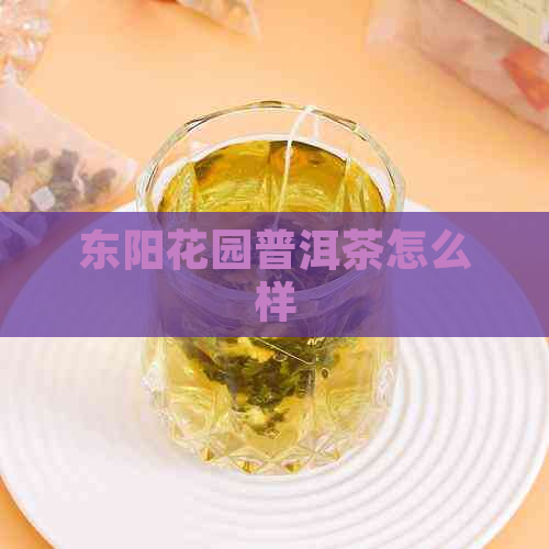 东阳花园普洱茶怎么样