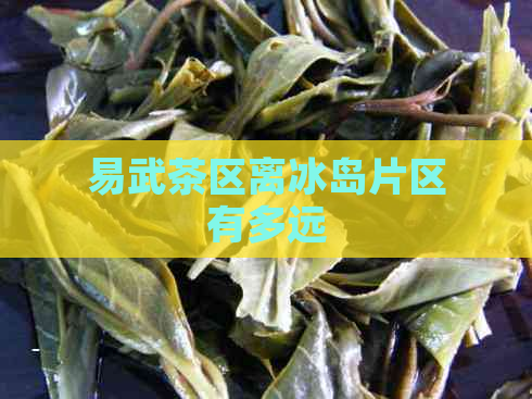 易武茶区离冰岛片区有多远