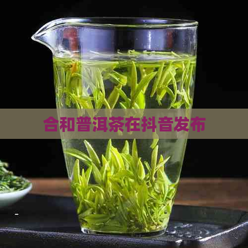 合和普洱茶在抖音发布