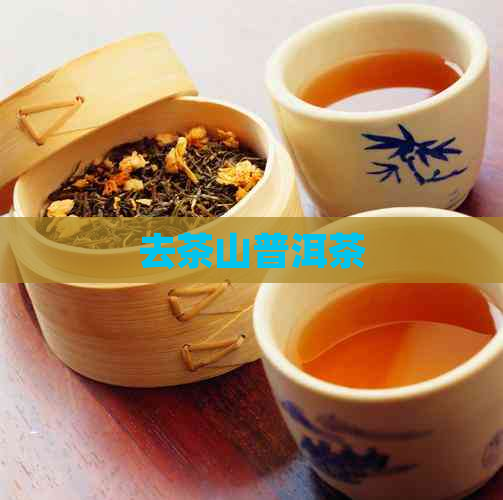 去茶山普洱茶