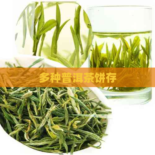 多种普洱茶饼存