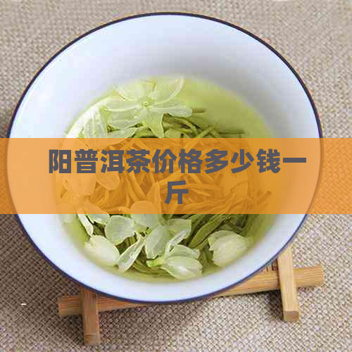 阳普洱茶价格多少钱一斤