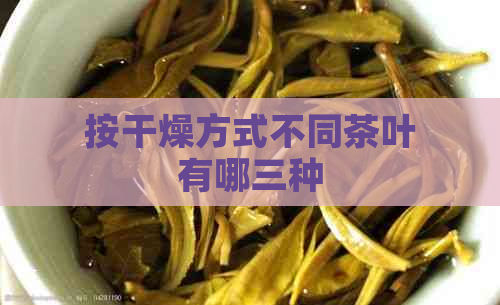 按干燥方式不同茶叶有哪三种