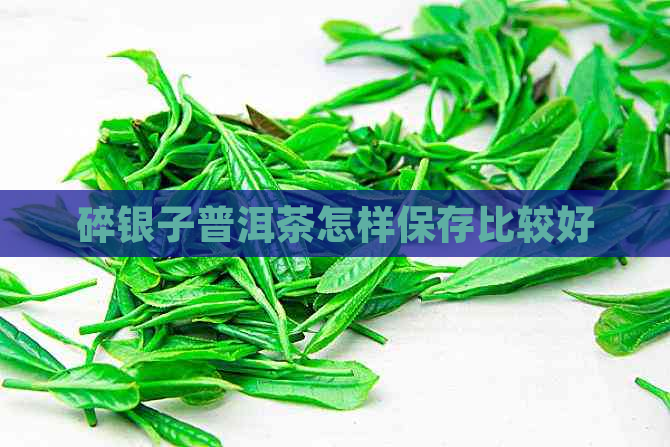 碎银子普洱茶怎样保存比较好