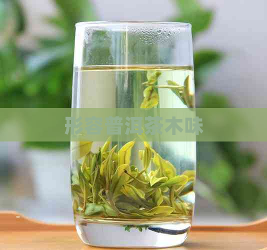 形容普洱茶木味