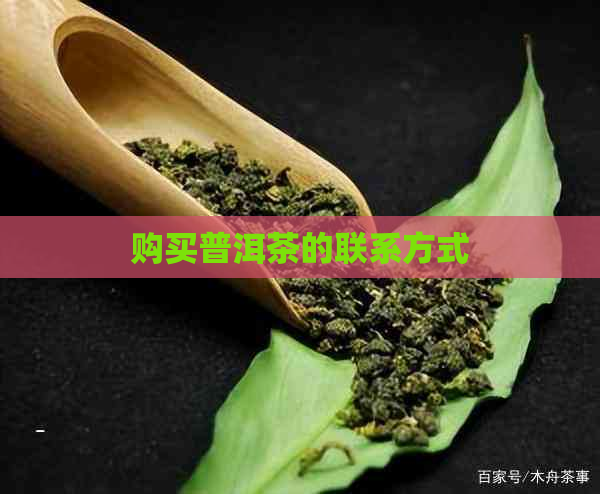 购买普洱茶的联系方式