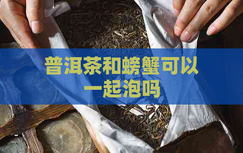 普洱茶和螃蟹可以一起泡吗