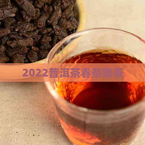 2022普洱茶春茶散茶