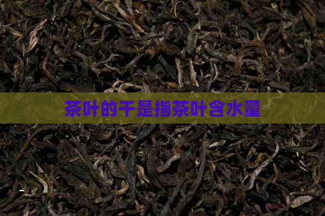 茶叶的干是指茶叶含水量