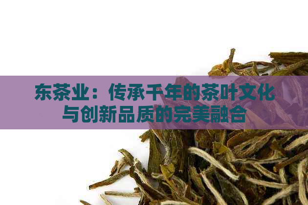 东茶业：传承千年的茶叶文化与创新品质的完美融合