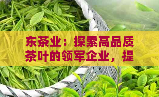 东茶业：探索高品质茶叶的领军企业，提供全方位的茶叶解决方案