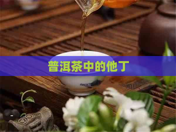 普洱茶中的他丁