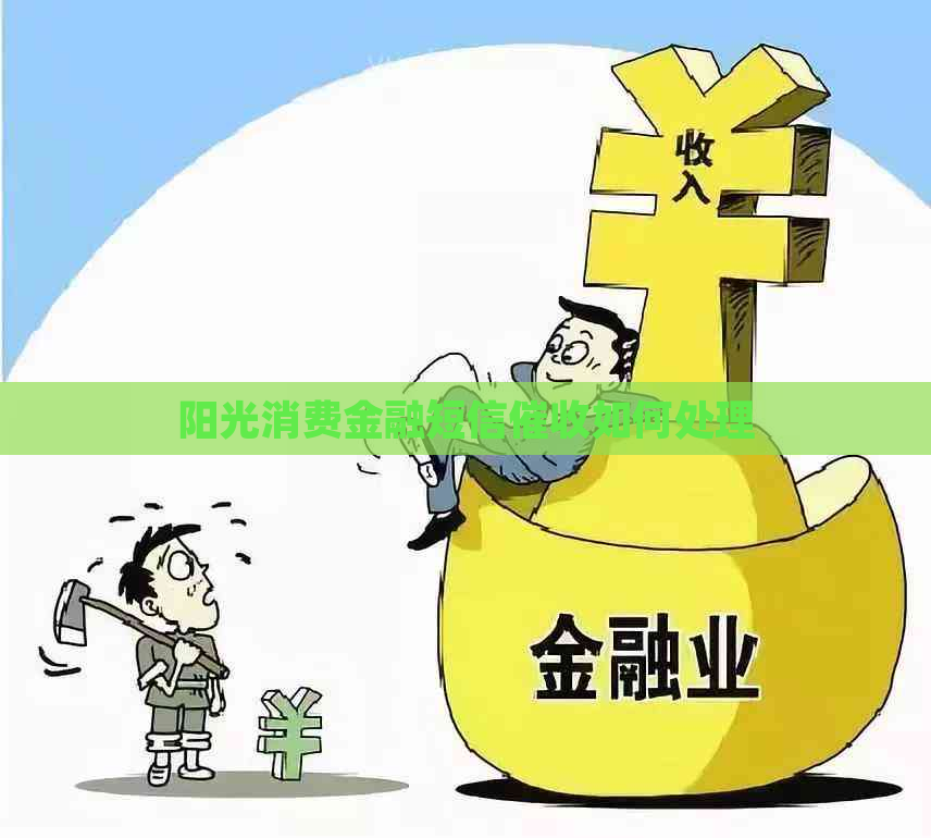 阳光消费金融短信如何处理