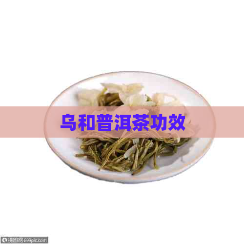 乌和普洱茶功效