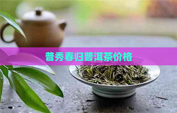 普秀春归普洱茶价格