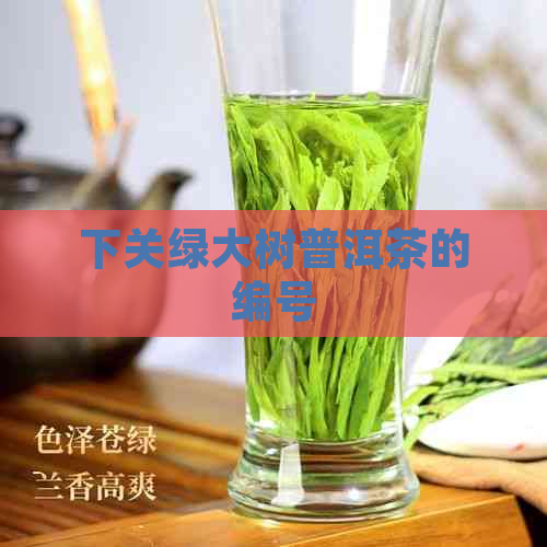 下关绿大树普洱茶的编号