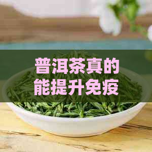 普洱茶真的能提升免疫力吗