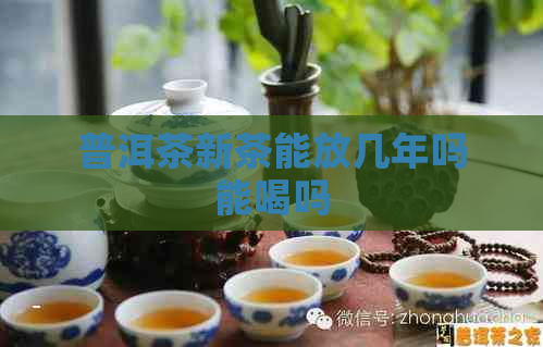 普洱茶新茶能放几年吗能喝吗