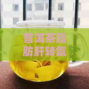 普洱茶脂肪肝转氨酶