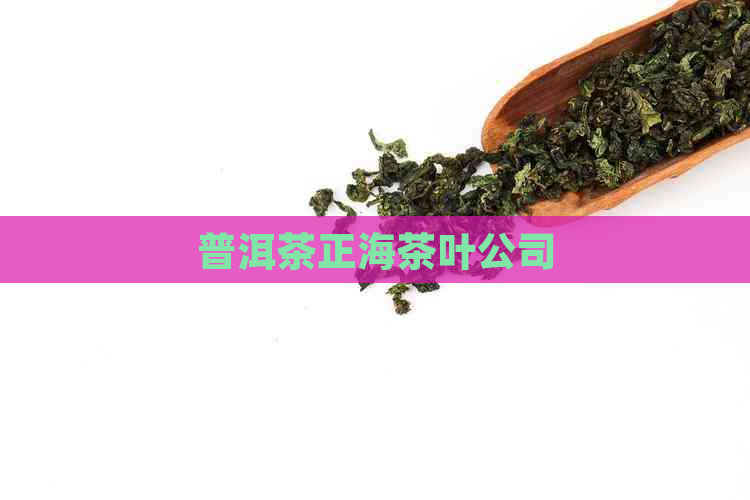 普洱茶正海茶叶公司