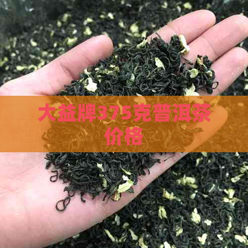 大益牌375克普洱茶价格