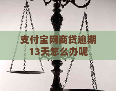 支付宝网商贷逾期13天怎么办呢