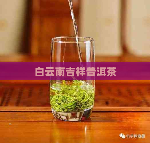 白云南吉祥普洱茶